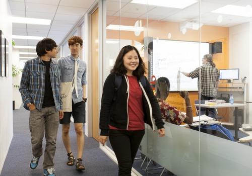 The student in the school